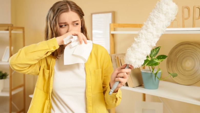 alergia polvo en tamano grande