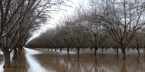 des inondations frappent une zone residentielle dans le nord de la californie 20230126174213 