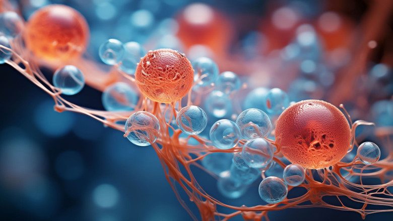 envejecimiento celular v2 