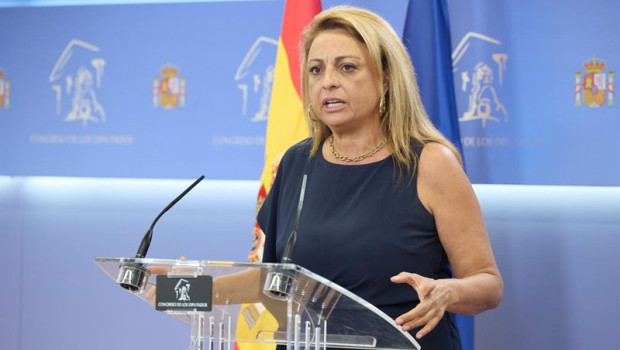 ep archivo   la diputada de coalicion canaria cristina valido