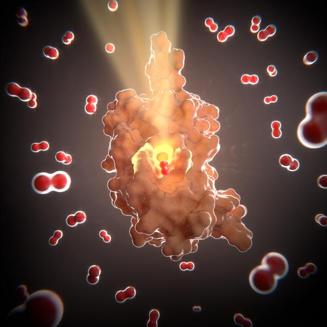 ep bacterias resistencia farmaco antibioticos