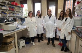 ep descubren mecanismosregulacionla produccionantibioticosbacterias