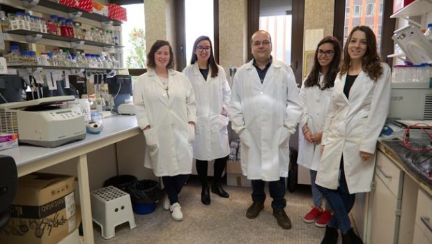 ep descubren mecanismosregulacionla produccionantibioticosbacterias