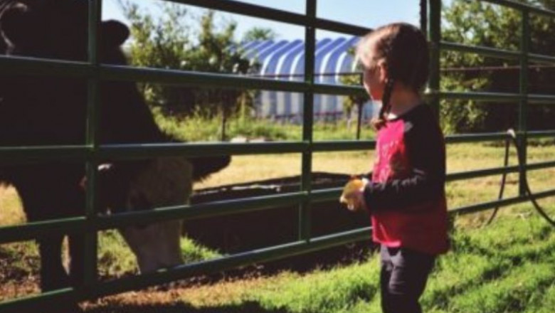 Granja Escuela | UPTA ep granja escuela