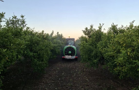ep imagen de fertilizantes en el campo
