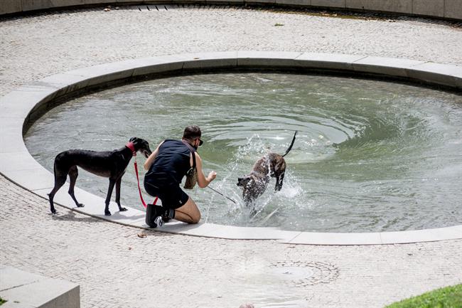 Ola de calor de la primera semana de agosto de 2018 (Foto de archivo) | Europa Press - Archivo ep olacalorla primera semanaagosto2018 fotoarchivo