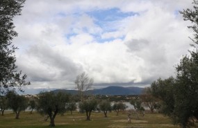 ep pantanocazalegasnubes arboles