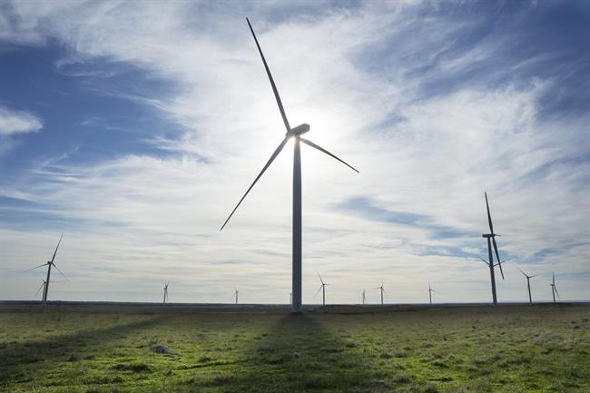Parque eólico de Acciona en Australia. | ACCIONA ep parque eolicoaccionaaustralia
