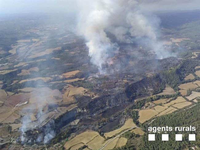 Terreno quemado por el fuego de Artés (Barcelona) | AGENTS RURALS ep terreno quemadofuegoartes barcelona