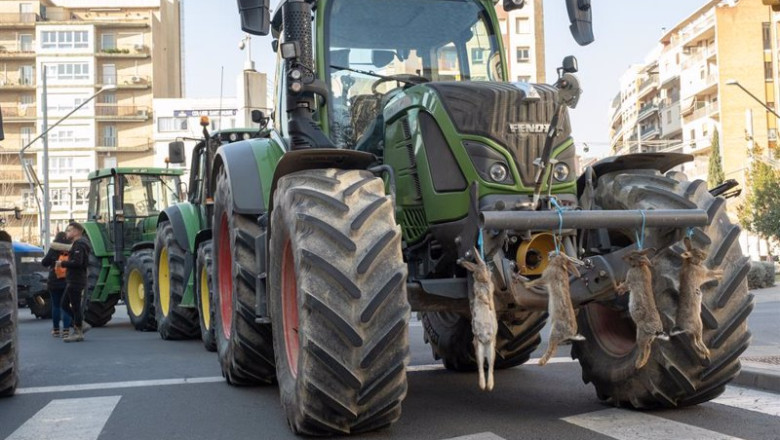 ep un tractor con conejos colgados durante una protesta convocada por sindicatos agrarios para pedir ep un tractor con conejos colgados durante una protesta convocada por sindicatos agrarios para pedir