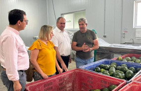ep visita del consejero de agricultura a la empresa socrates horticola sl en camunas