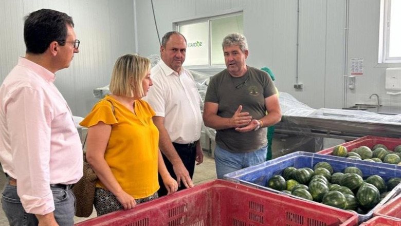 ep visita del consejero de agricultura a la empresa socrates horticola sl en camunas