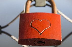 pexels snapwire 38866 20230418154721 pexels snapwire 38866 20230418154721