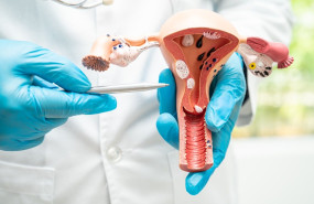 vph en tamano grande vph en tamano grande