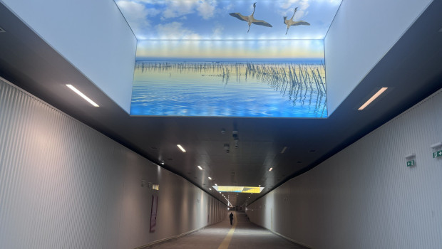 caon peatonal interiorimg 2483 