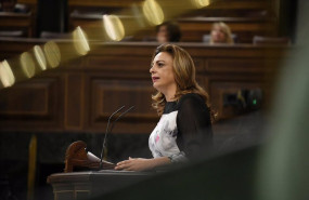 ep archivo   la diputada de coalicion canaria cristina valido durante una sesion plenaria en el