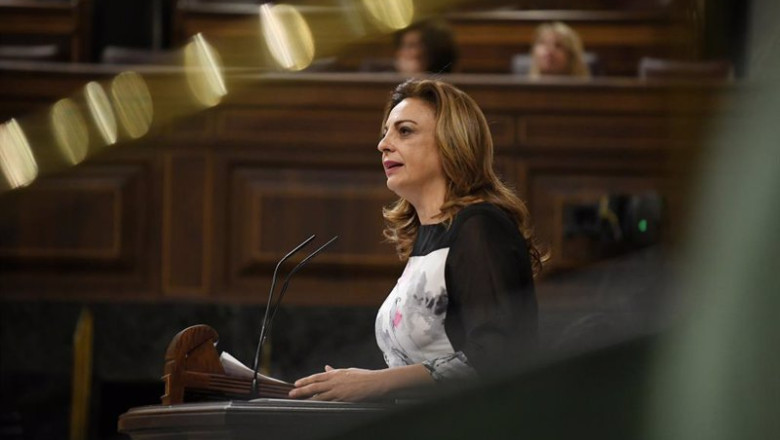 ep archivo   la diputada de coalicion canaria cristina valido durante una sesion plenaria en el