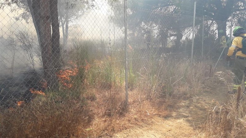 ep efectivos del infoca trabajan en la extincion de un incendio en cartaya huelva