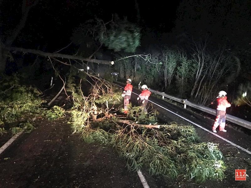 ep el viento tira un arbol sobre la carretera en valdaliga ep el viento tira un arbol sobre la carretera en valdaliga