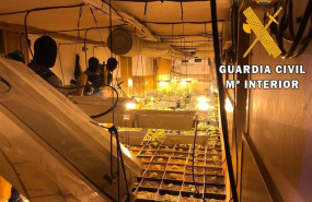 ep plantacionmarihuana localizadaun pubroquetasmar almeria