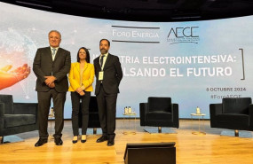 ep presidente aege secretaria de estado de industria y director general de aege