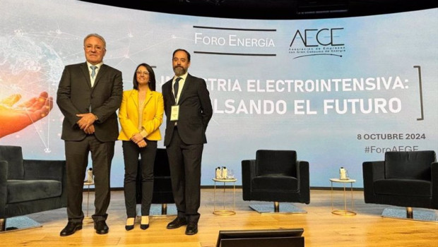 ep presidente aege secretaria de estado de industria y director general de aege