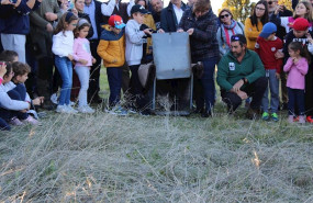 ep quisquilloso tercer lince liberado este ano en la zona sur de la provincia de provincia de ciudad