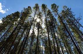 ep smurfit kappa establece nuevos objetivos en materia de sostenibilidad con better planet 2050