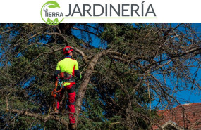 la tierra jardineria la tierra jardineria