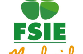 logo fsie logo fsie