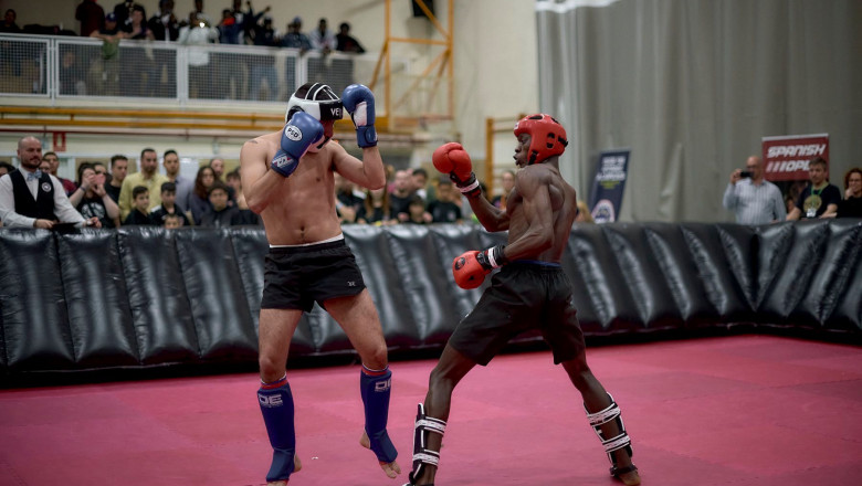 1583422826 879443792826911930679617 5002878000593633280 o