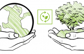 1608134829 cromogenia suma sostenibilidad 1608134829 cromogenia suma sostenibilidad