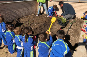 1618491683 img 20200127 wa0017