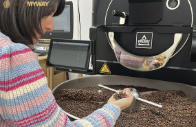 comprobando granos de cafe