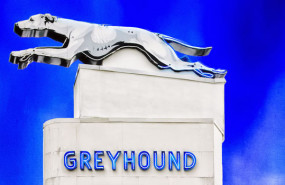 dl greyhound lines coach bus us usa united states of america passenger transport dl greyhound lines coach bus us usa united states of america passenger transport