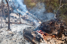 ep archivo   campo quemado por el incendio