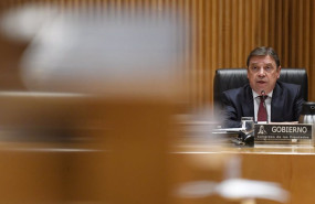 ep archivo   el ministro agricultura pesca y alimentacion luis planas durante la comision de