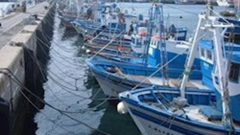 Archivo - Imagen de flota pesquera amarrada. | ARCHIVO ep archivo imagen de flota pesquera amarrada