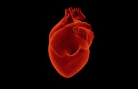 ep corazon 20180206135402 ep corazon 20180206135402