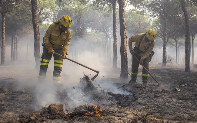 Efectivos trabajando para apagar el incendio de Moguer (Huelva) | A.PEREZ/EUROPA PRESS/ ep efectivos trabajandoapagarincendiomoguer huelva