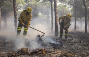 ep efectivos trabajandoapagarincendiomoguer huelva