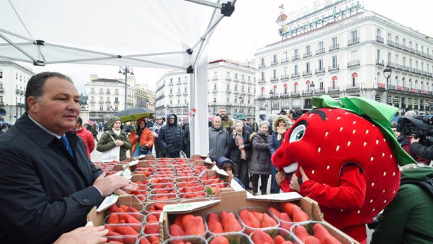 ep el presidente de la diputacion de huelva david toscano i durante el reparto de tarrinas de fresa