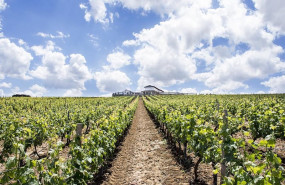 ep espana exporta 934 millones de litros de vino menos en los primeros nueve meses de la actual
