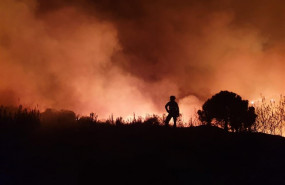 ep incendio de estepona