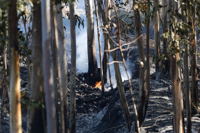 El incendio forestal de Mondariz (Pontevedra) | MARTA VÁZQUEZ/EUROPA PRESS ep incendio forestalmondariz pontevedra