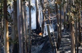 ep incendio forestalmondariz pontevedra