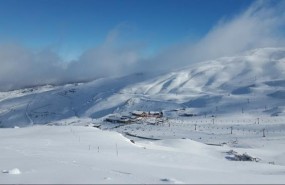 ep sierra nevada areaborreguiles