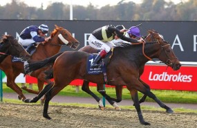 ladbrokes gvc holdings horse racing ladbrokes gvc holdings horse racing