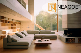 neagoe reformas integrales 1