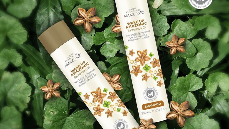 1603362217 amazonicpe 67365389 451629212346758 5154564138821522420 n copia 2